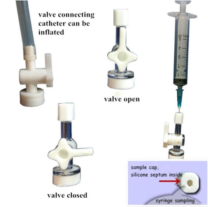 Tedlar® PVF Gas Sampling Bags with stopcock valve with silicone septum TDL11_1L (air sample bag)