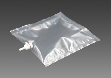 China Tedlar® PVF Gas Sampling Bags with PTFE straight On/Off  valve TDLC31_5L (air sample bag) Dupont Tedlar air bag supplier